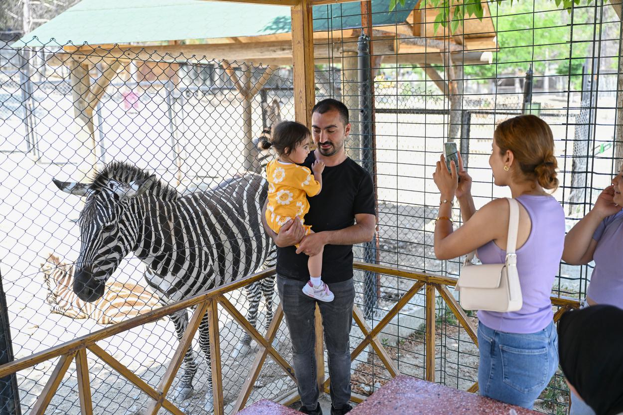 16263820250609075033