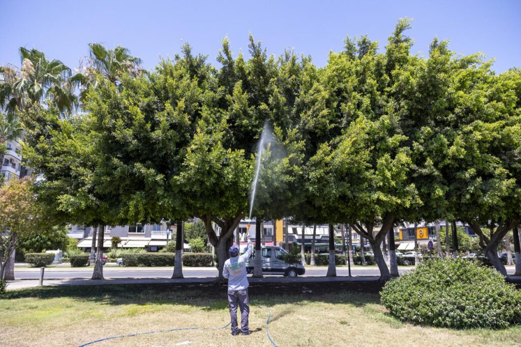 33991920250709093807