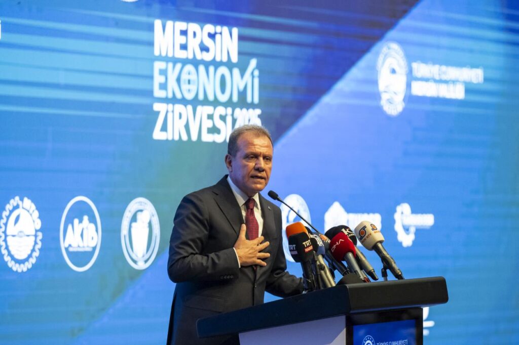 44130020250612185333