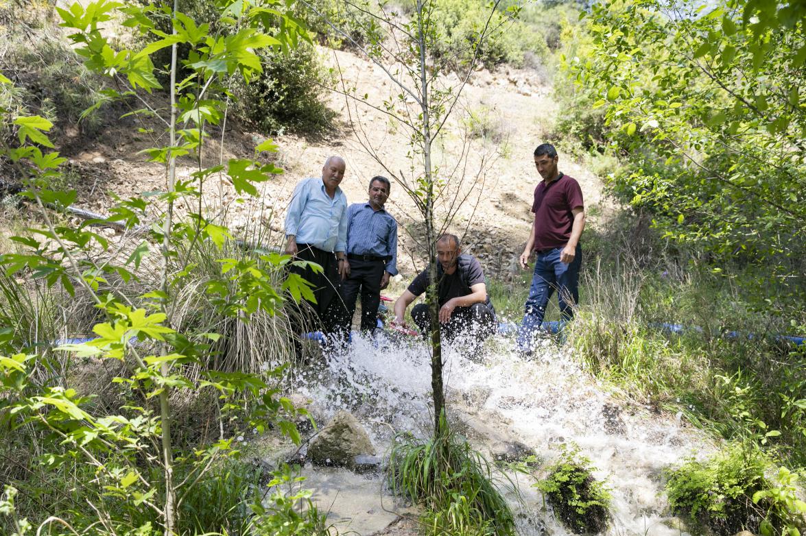 73568520250529092605