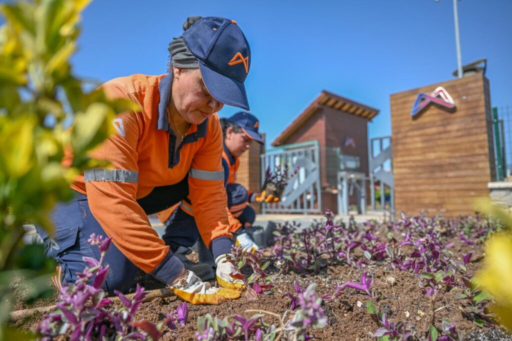 79497220250521090942