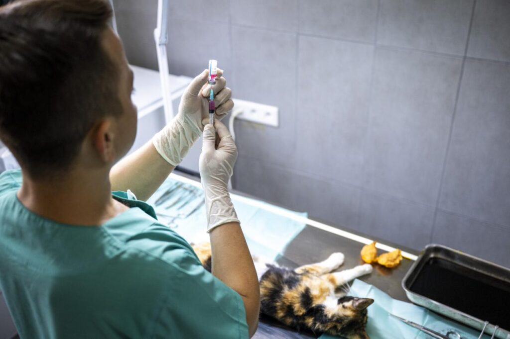 90216620250613093152