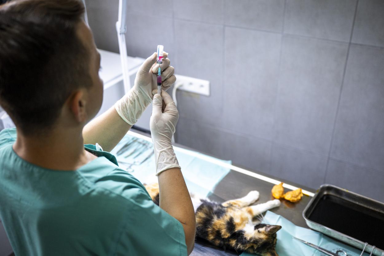 90216620250613093152