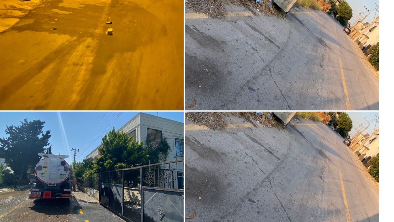 Black Natural Inspiration Photo Collage (Web sitesi)